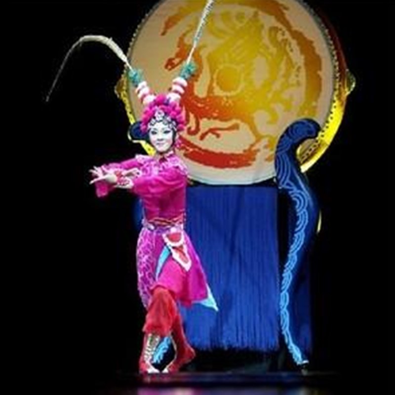 新选桃李杯小荷风采荷花奖红玉丹C心古典民族现代舞蹈服舞台演出