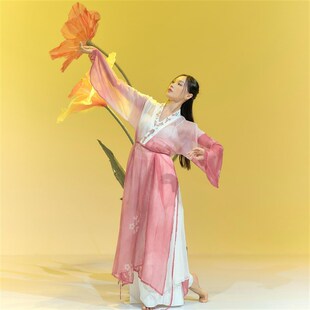 新选SOSO佳古典舞演出服女飘v逸中国风刺绣渐R变粉色纱衣成人舞蹈