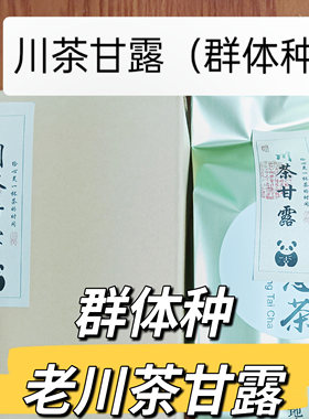 2026群体种川茶蒙顶甘露碧螺春