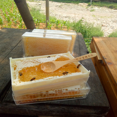 蜂巢蜜 口感香甜 连带蜂巢嚼着吃 蜂农自产 纯花蜜