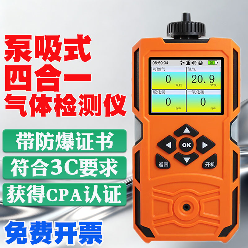 泵吸式一氧化碳硫化氢气体检测仪