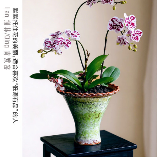 窑变釉绿色陶瓷花盆红褐波浪边