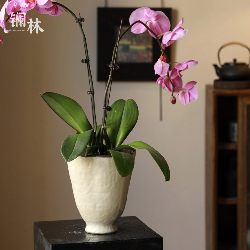 中式花盆客厅桌面绿植盆栽家用阳台多肉蝴蝶兰专用简约高脚透气盆,家居饰品,花盆,淘宝优惠券,粉丝福利购,淘宝优惠卷