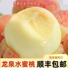 正宗龙泉水蜜桃新鲜桃子白凤桃整箱毛桃现摘孕妇水果超甜软桃撕皮
