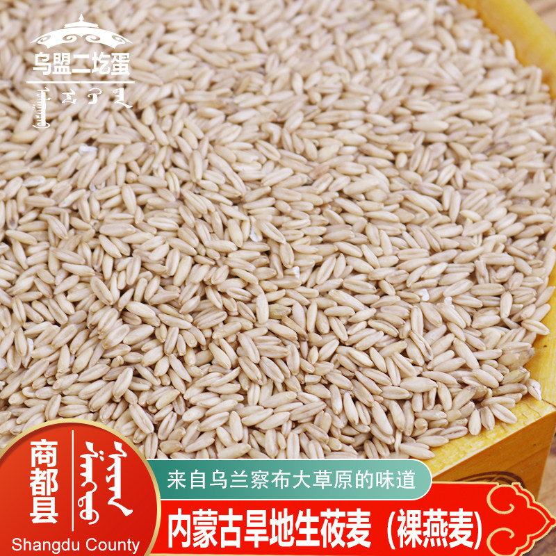商都县燕麦米生莜麦内蒙古乌兰察布旱地生裸燕麦熬粥胚芽米杂粮