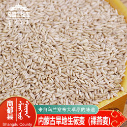 商都县燕麦米生莜麦内蒙古乌兰察布旱地生裸燕麦熬粥胚芽米杂粮