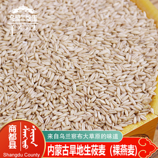 商都县燕麦米生莜麦内蒙古乌兰察布旱地生裸燕麦熬粥胚芽米杂粮