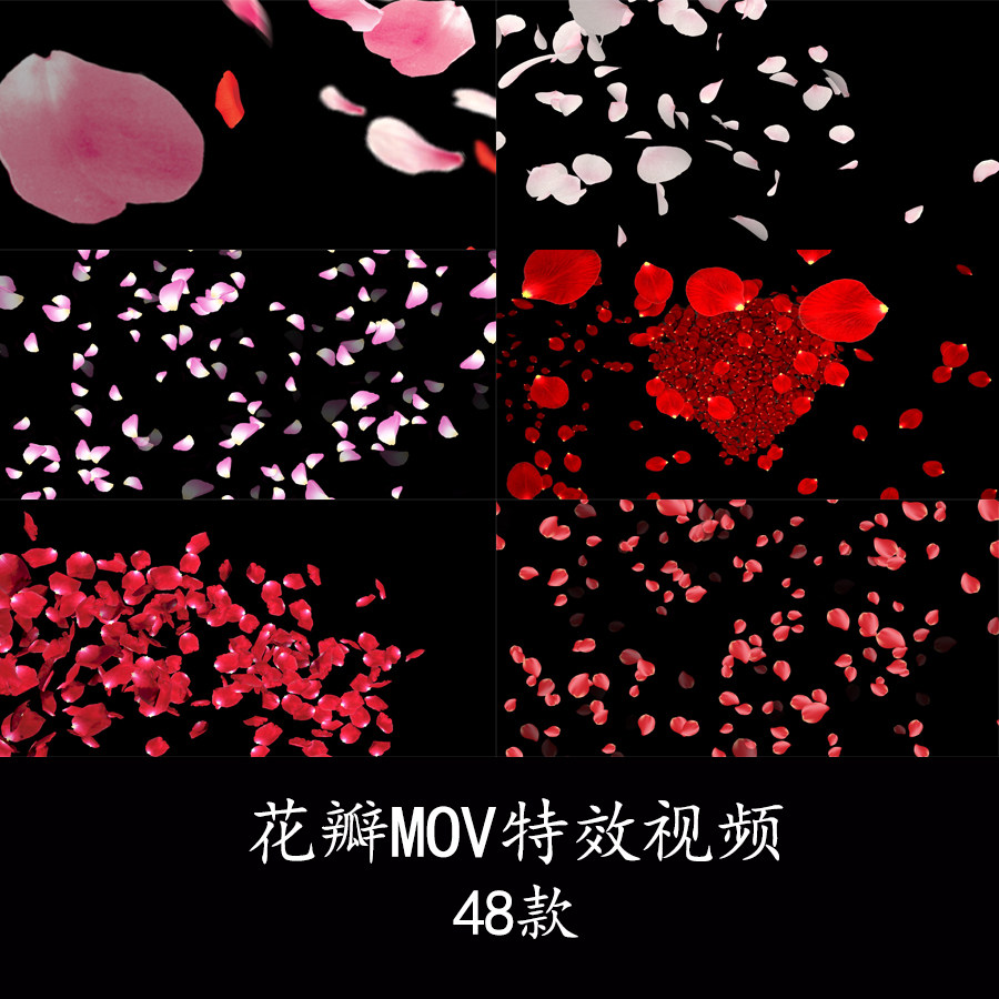 浪漫花瓣飘落飞舞mov带通道特效元素花瓣雨花瓣转场花瓣背景视频
