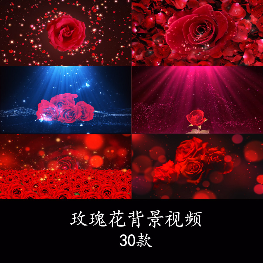 红色玫瑰花背景视频玫瑰花海背景唯美浪漫告白玫瑰花舞台背景素材