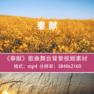 《奉献》歌曲舞台背景视频素材舞蹈背景视频素材led视频