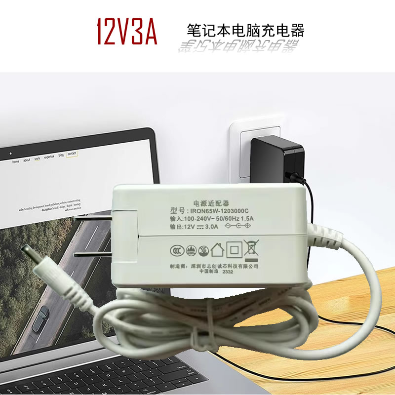 12V3ARjT-AS120300C充电器瑞晶