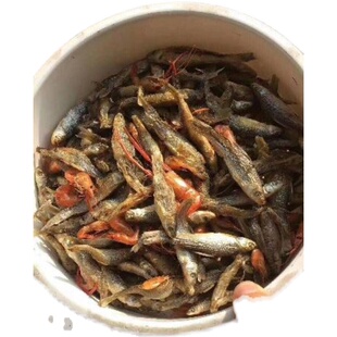 湖北干货水产小河鱼干河虾罗田土特产无盐原生态农家无添加剂500