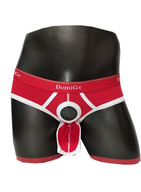 DOMIGE/杜米国际 男士全棉三角内裤 上下两分离 枪蛋分离式内裤男