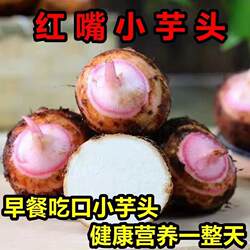 连州红芽芋头现挖红芽红梗毛广东芋头新鲜粉软糯蔬菜香芋子芋艿头