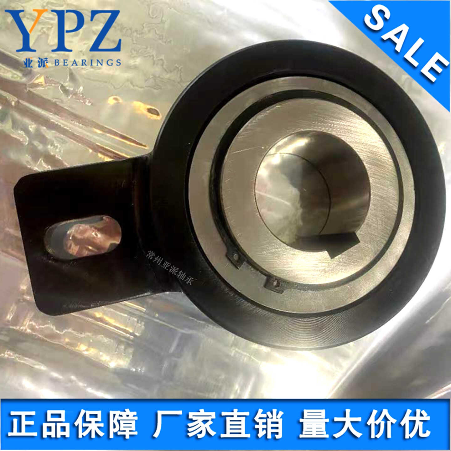 RSBW20止逆器提升机单向离合器