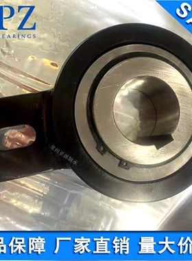 YPZ国产止逆器RSBW20 25 30 35 40 45 50 55 60 70 80 90单向轴承