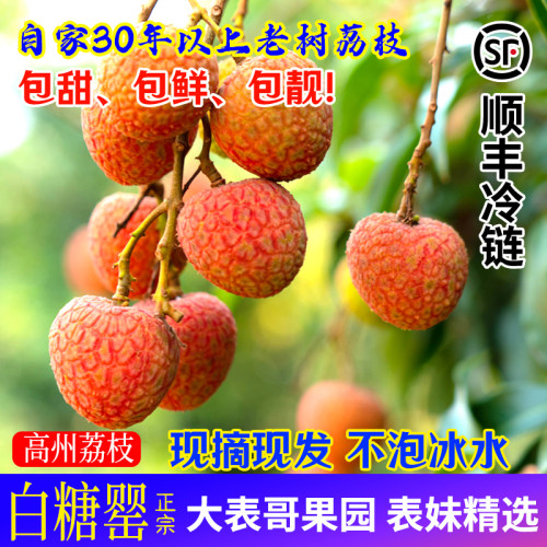 水果新鲜采摘水果桂味白糖罂顺丰