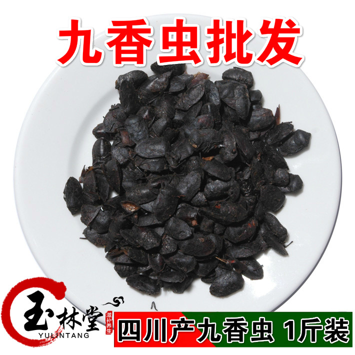 中药材批发 九香虫250克290元 清水晒干打屁虫 野生清水九香虫