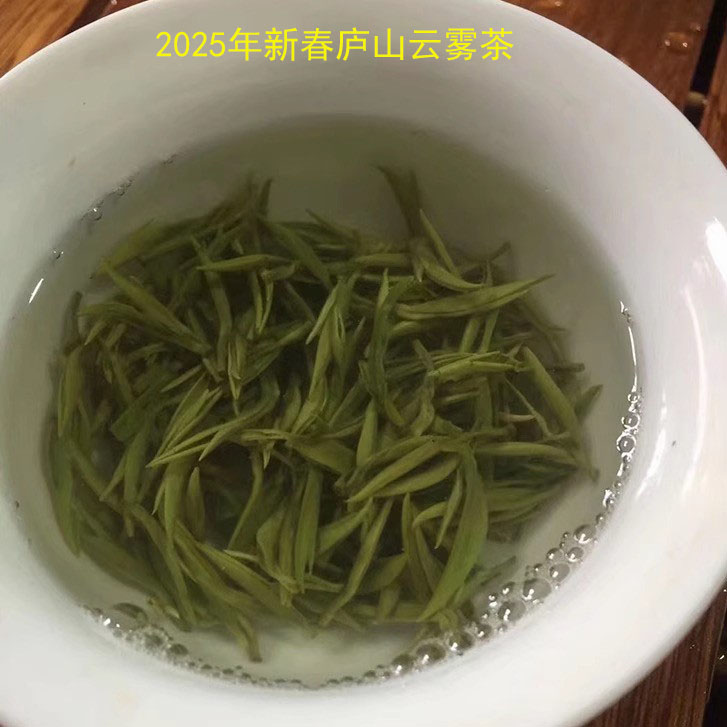 2025新茶庐山云雾茶江西绿茶