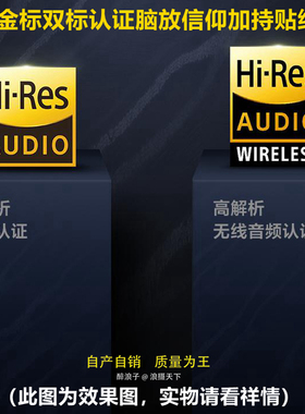 高品质Hi-Res小金标Lo-Res  适用SONY信仰贴纸  散装版现货