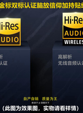 Hi-ReLo-Res适用SONY
