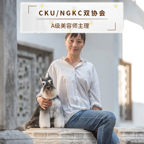 【昆明福源犬舍】迷你雪纳瑞拔毛（雪纳瑞赛级美容 赛场美容）