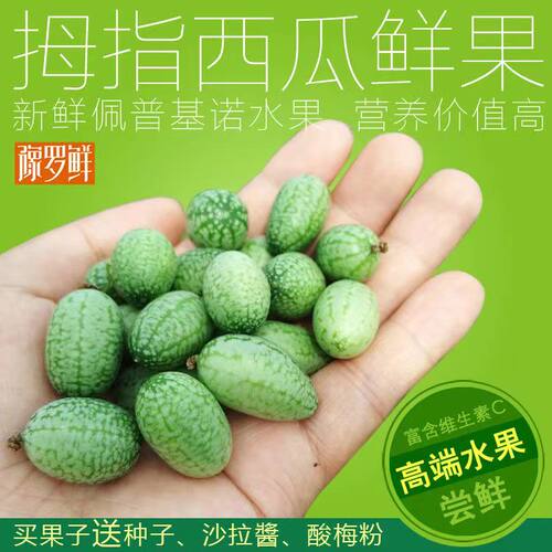 拇指西瓜新奇迷你袖珍125g