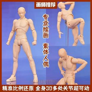 SHF素体人偶手办人体模型美术绘画参考工具男女figma全身关节可动