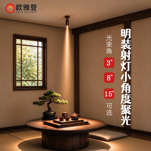 中古风一束聚光明装射灯