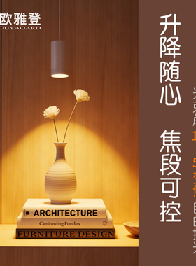 卧室床头小吊灯简约北欧创意个性氛围自由悬停可升降变焦调焦射灯