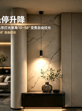 变焦可调光斑吊线射灯高度自由升降免开孔玄关岛台床头明装小吊灯