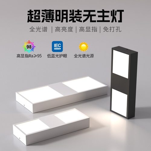 2025新款客厅无主灯照明筒灯餐厅卧室极简超薄智能双头明装吸顶灯