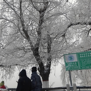 配件链接请勿下单