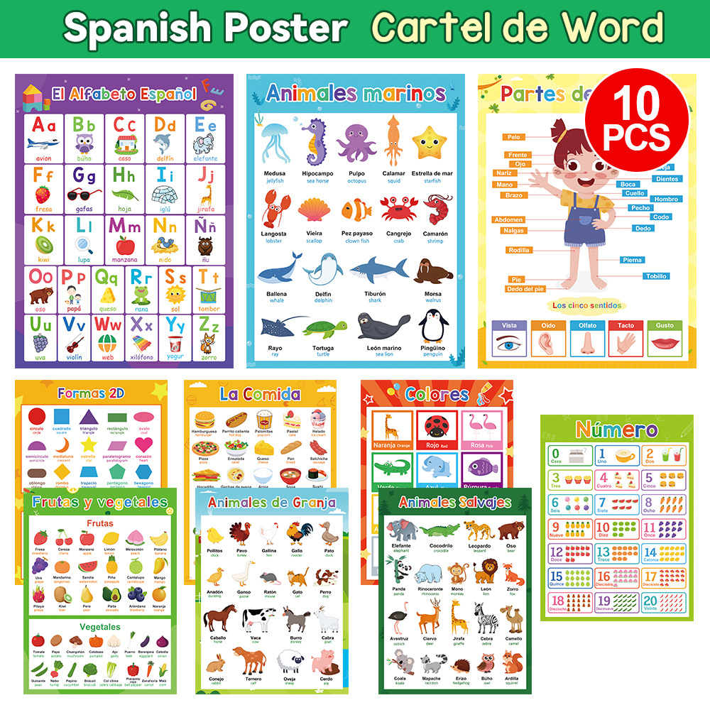 跨境西班牙语英语挂图海报字母动物食物数字身体水果儿童早教教具