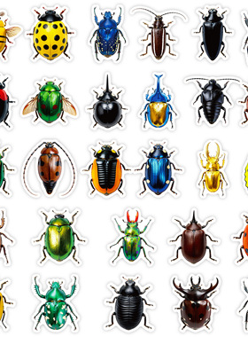 跨境sticker写实甲壳虫涂鸦贴纸多彩不同昆虫手账diy生态主题装饰