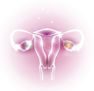 高端保养 私密凝胶 卵朝免疫xi胞 胎盘肽 紧致提高敏感度 再青