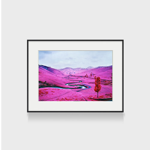 richard mosse 玛格南摄影师装饰画酒店餐厅彩色风景摄影粉色挂画
