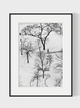 andre kertesz 安德烈柯特兹经典黑白摄影装饰画风景简约客厅壁画