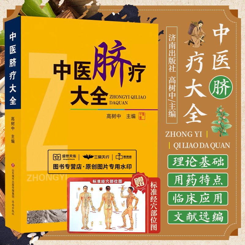 中医脐疗大全 高树中 脐疗的作用机理贴敷脐部法脐疗的用药特点及剂型脐疗的临床应用等 9787807104254 济南出版社