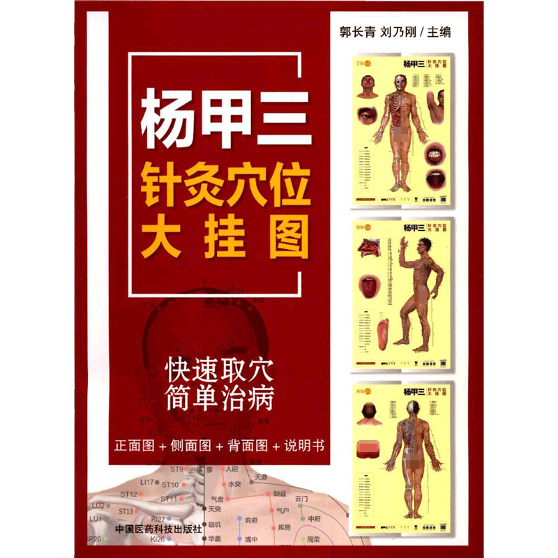 杨甲三针灸穴位大挂图 郭长青 刘乃刚主编 2018年7月出版 版次1 平装 9787521402179 中国医药科技出版社