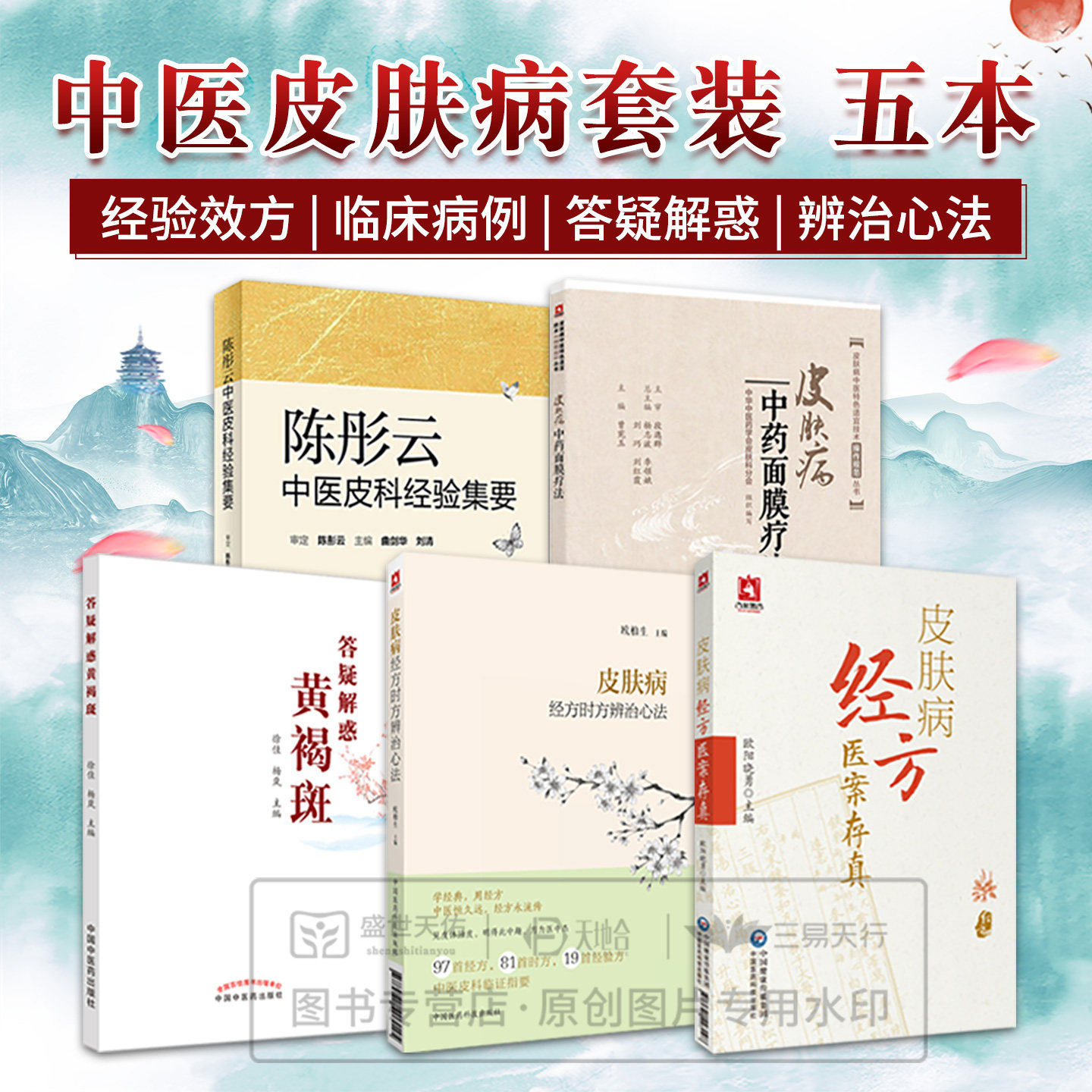 皮肤病中药面膜疗法+陈彤云中医皮科经验集要+皮肤病经方时方辨治心法+皮肤病经方医案存真+答疑解惑黄褐斑 5本套装 中医