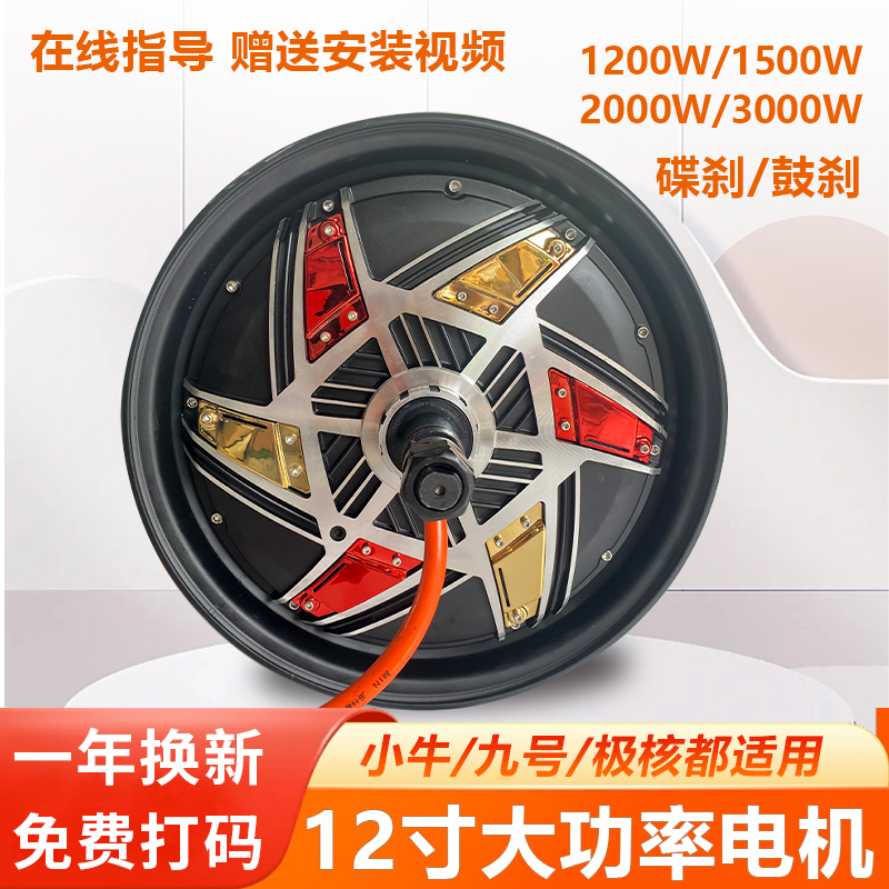 12寸电动车电机高速改装3000W