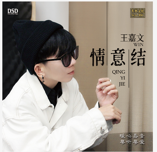 正版人声发烧碟 王嘉文 情意结 DSD光盘试音碟 HIFI无损音质CD