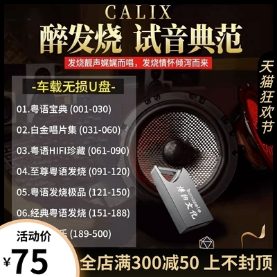 正版汽车载u盘32G醉发烧试音hifi人声经典老歌wav无损音质USB优盘