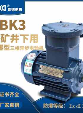 江苏肯德煤矿用防爆三相异步电机YBK3煤矿井下用防爆电机660/1140