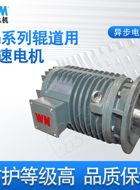 安徽皖南电机YG系列辊道用调速三相异步电动机0.3kW~15kW IP54