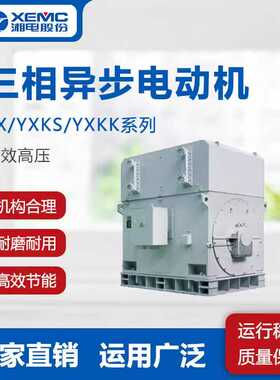 湘电集团湘潭电机股份有限公司YXKK系列6/10KV异步高压电机560KW
