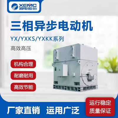 湘电集团湘潭电机股份有限公司YXKK系列6/10KV异步高压电机560KW