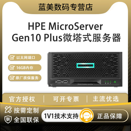 HPE微塔式服务器Gen10Plus16GB
