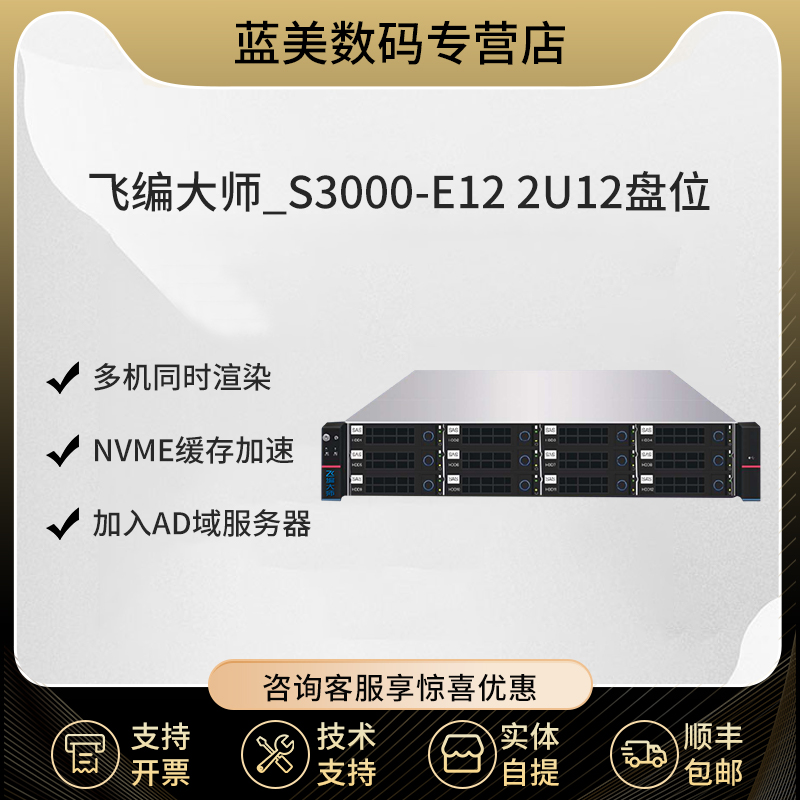 飞编大师_S3000-E12 2U12盘位机架式NAS千兆以太网网络存储（含96TB硬盘）NAS光纤网络存储磁盘阵列-封面